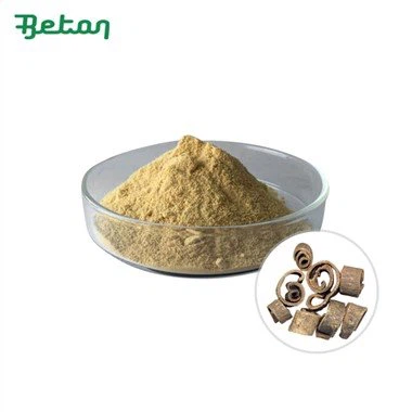 Serbuk Ekstrak Magnolia Officinalis Organik