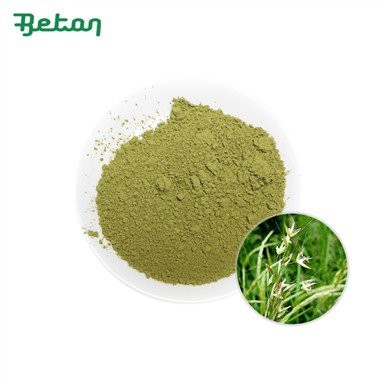 Serbuk rumput oat