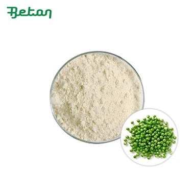 Serbuk Protein Isolat 80 Pea Organik