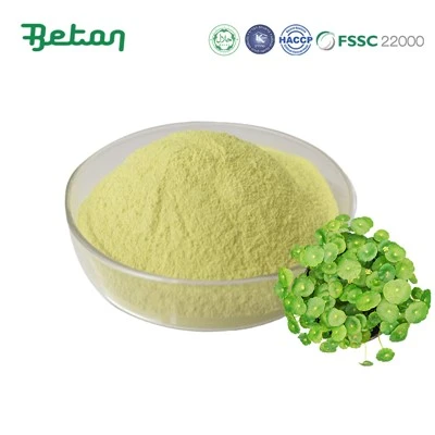 Serbuk Ekstrak Centella Asiatica